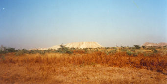 L'environnement du Bassin arachidier